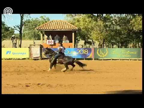 Classificatória Região Norte – 3° lugar machos – TR Entonado (Prova: Bayard/Sarmento)