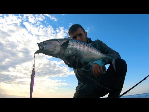 E dopo 5 ORE di lanci, arriva lo STRIKE - Shore Jigging in ITALIA - False ALBACORE after 5 hours!