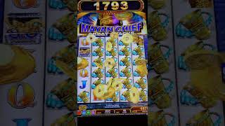 Mayan Chief BIG WIN Gold Cups $.05 denom at Talking Stick Resort 마야 추장 BIG WIN  #casino #slots