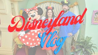 Two Day Disneyland Vlog | No kids! | First time Disneyland goer!