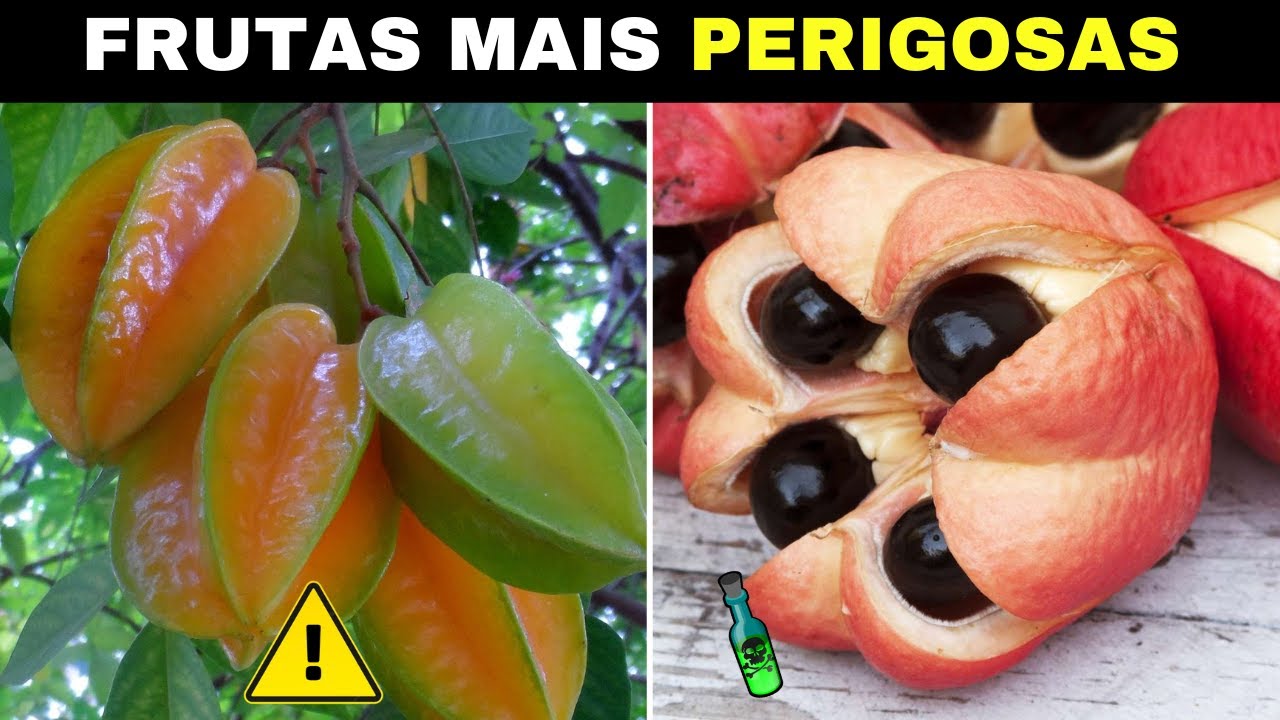 10 Frutas Mais PERIGOSAS do Mundo Que Você Deve Tomar Muito CUIDADO