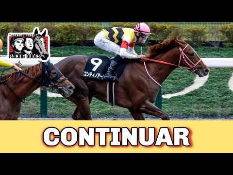 2022 Cattleya Stakes Replay | CONTINUAR Wins Race On Japanese Road To 2023 Kentucky Derby