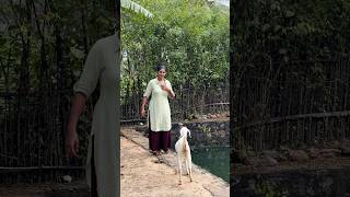 Download lagu Enada ithu namaku vantha sothana veedu kadu elam thani la mulkiruchu 🥲 mp3 Download lagu Enada ithu namaku vantha sothana veedu kadu elam thani la mulkiruchu 🥲 mp3