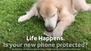 Life Happens: AT&T Protect Advantage | Phone Insurance