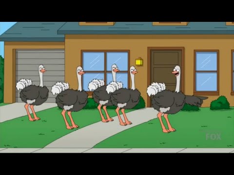 Family Guy - Eddie's at the wrong house (ostrich haha laugh)