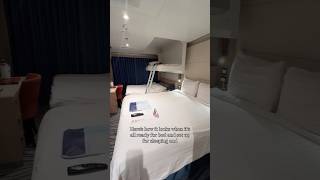 #HollandAmerica #NieuwStatendam #FamilyOceanviewStateroom Tour - See what we thought!