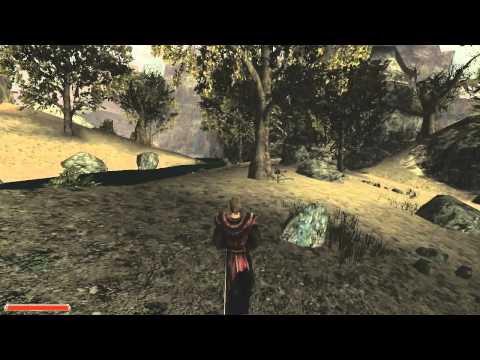 Let's Play Gothic II Part 131: Companions