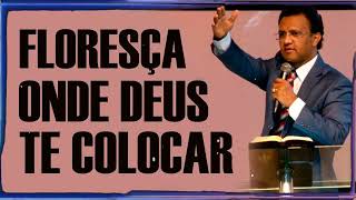 Uma Menina Cativa Liberta Um Homem Livre | Josué Brandão Sermão