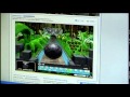 bowling GUTTERBALL 2 JUNGLE ALLEY FASTEST 300 GAME ??
