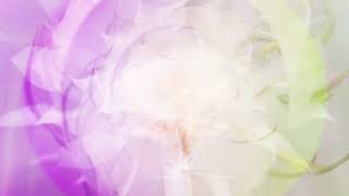 Jeffrey Alexander & The Heavy Lidders – “Star Power” (feat. Kate Wright (Movietone) + Chris Forsyth)