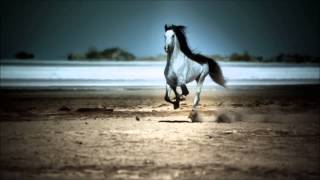 Ruth Lorenzo - Gigantes (Horses Version)