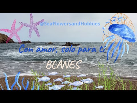 Blanes beach — peaceful wave sounds| Spain 🇪🇸| May 2025.