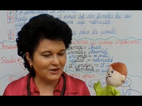 056, Lectii online, CLR, clasa a II-a - Textul narativ - Ziua cand toti au 7 ani