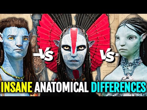 10 Crazy Anatomical Changes Between Omatikaya (Jungle), Metkayina (Water) & Mangkwan (Fire) Avatar