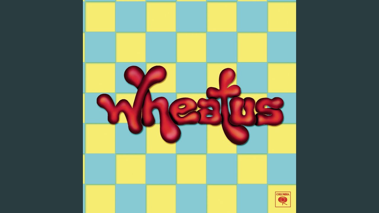 Cover for the song 'Teenage Dirtbag' by artist(s) 'Wheatus'