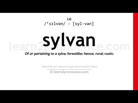 Pronunciation of Sylvan | Definition of Sylvan