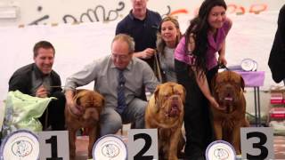 preview picture of video 'XII° RADUNO ITALIANO - SEZIONE DOGUE DE BORDEAUX -  7/09/2014 -  Caselle Torinese -  IL FILM'