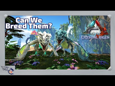 Tropical Wyvern Taming & Breeding | ARK: Crystal Isles #32