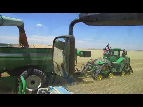 Kalcevic farms harvest 2018 with Walters Harvesting from Canada