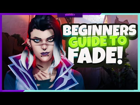 Moorey's Secret Beginners Guide To Winning With Fade