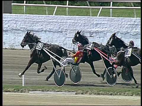 Trotto 06/05/2016 - 3° Corsa