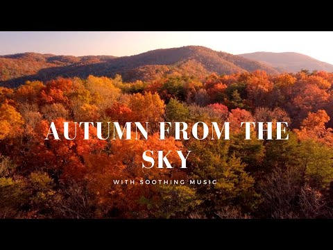 Aerial Peak Autumn Foliage Worldwide | Relaxing Music with Beautiful Fall Colors Drone Footage