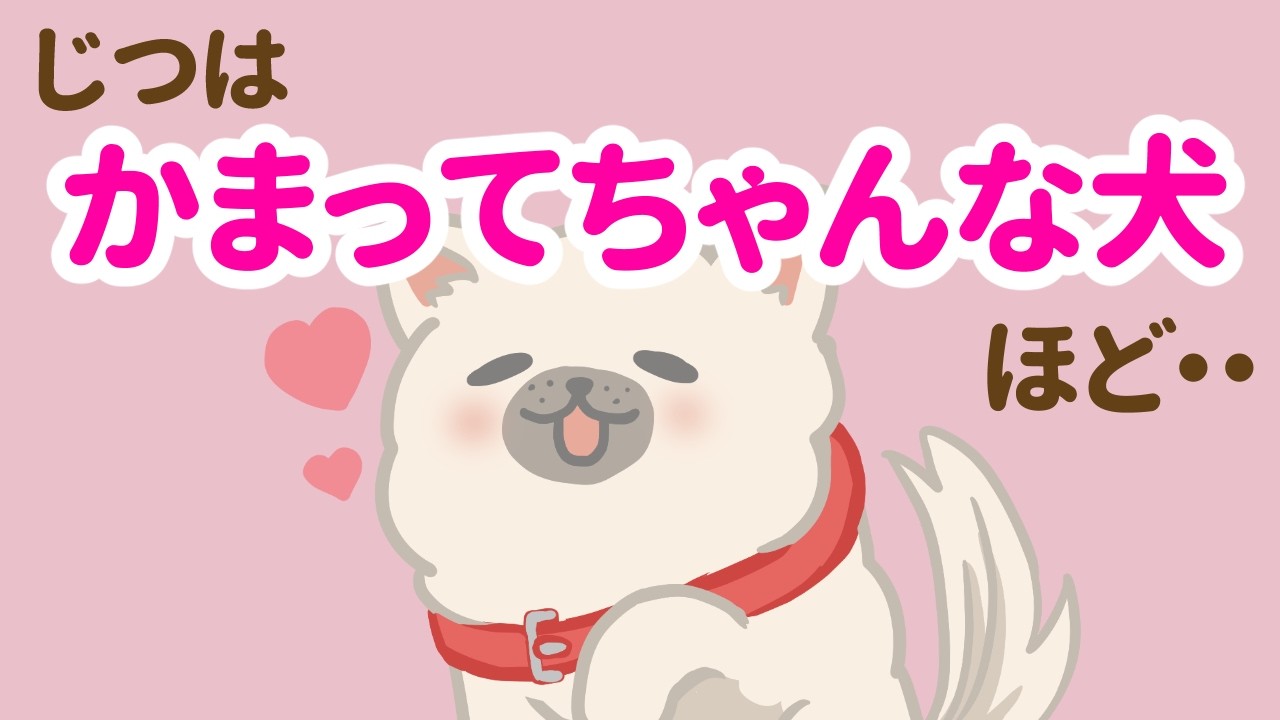 毎秒が愛おしすぎる！かまってちゃんな犬の特徴6選