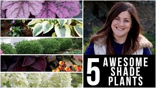 5 Awesome Plants for Shady Gardens