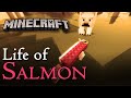 Life Of Salmon David Attenborough Narrates Minecraft Animal Cartoon
