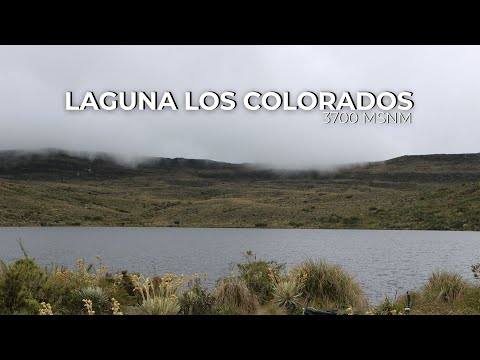 DIFÍCIL RESPIRAR a 3700 m.s.n.m | 🇨🇴 XPulse200