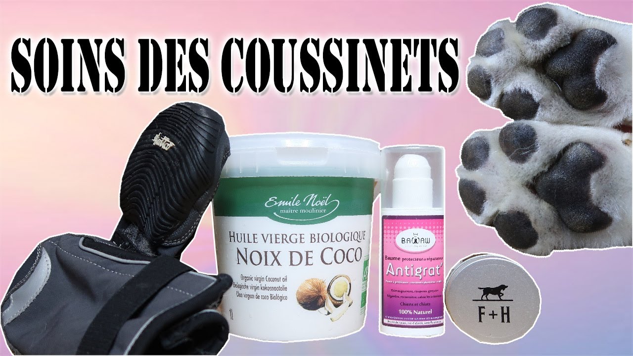 PRENDRE SOIN DES COUSSINETS DE VOTRE CHIEN