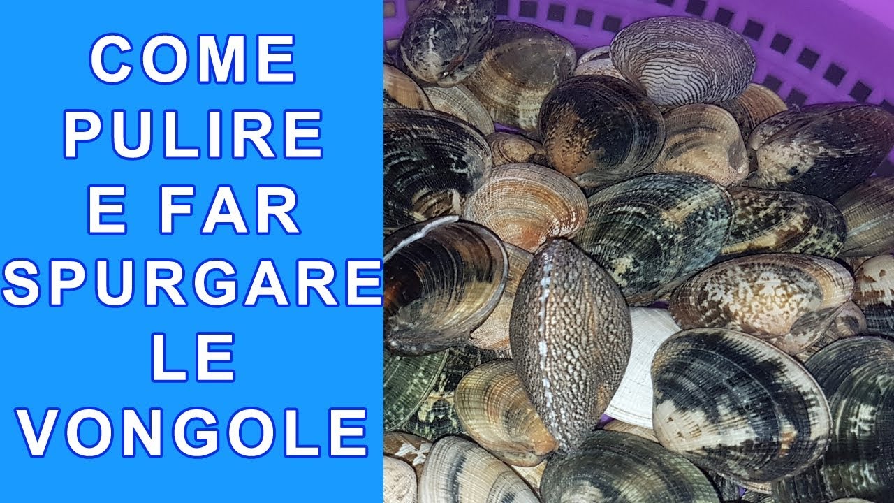 COME SPURGARE LE VONGOLE, PULIRLE BENE APRIRE E TOGLIERE LA SABBIA | FoodVlogger