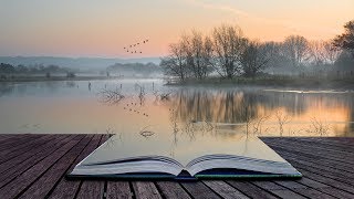 Reading Music to Concentrate | Study Music | Relaxing Music for Studying | Concentration Music Work Reading Music to Concentrate | Study Music | Relaxing Music for Studying | Concentration Music Work