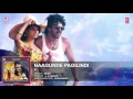 Naagunde Pagilindi A Upendra Chandini