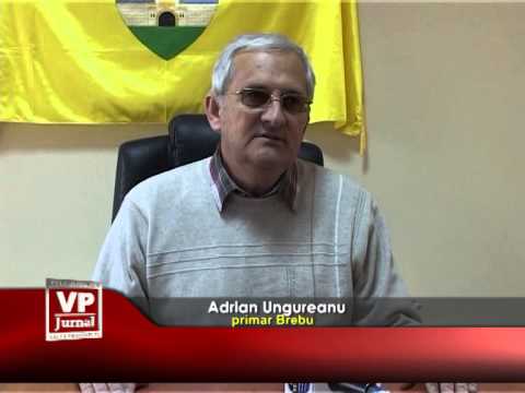 Proiecte pentru 2015