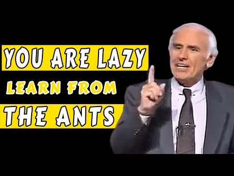 Lazy people should study Ants - Jim Rohn (ANT PHILOSOPHY)