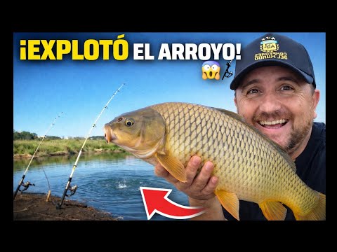 El arroyo explotó de peces 🎣🔥 | Tarde inolvidable