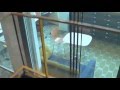 The Singing Elevator Lift Backward Version