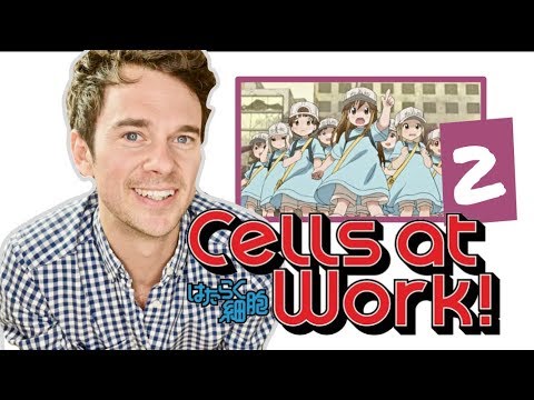 真正的醫生對工作中的細胞!// 第2集//"刮傷" (Real DOCTOR reacts to CELLS AT WORK! // Episode 2 // "Scrape Wound")