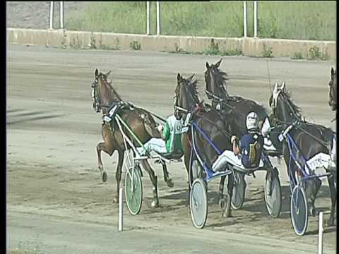 Trotto 08/06/2017 - 4ª corsa