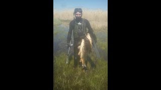 Карповское водохранилище волгоградской области рыбалка