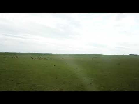 PADRÓN RURAL 8116 DE RIVERA