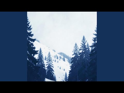 Сосны серые,Сопки белые