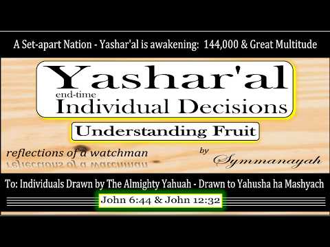 YEID No.1 Understanding Fruit
