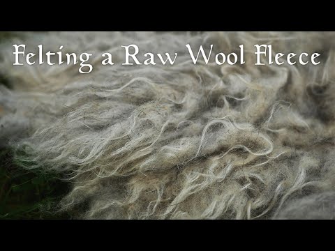 Felting Raw Wool Fleece - Timelapse