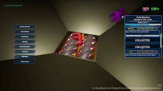 Friendly Arena | Player Level and EXP