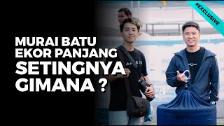 Download lagu Long-tailed magpie robin is difficult to perform ⁉ mp3