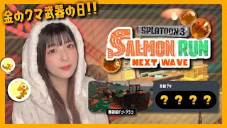 【顔出し】サーモンラン参加型🍥初どんぴこで金のクマフェス【スプラ3/女性実況】【Splatoon3】