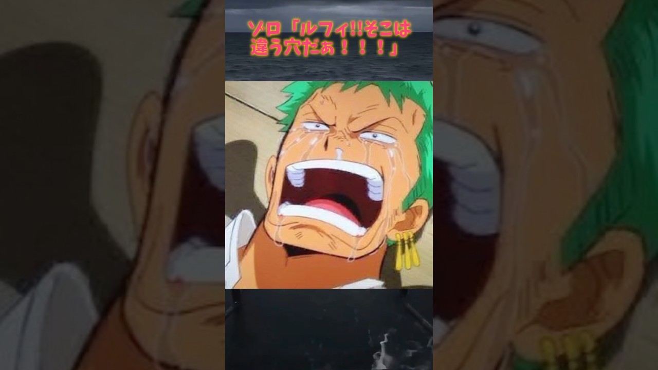 涙のゾロさん‥#ワンピース