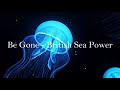 Be Gone - British Sea Power